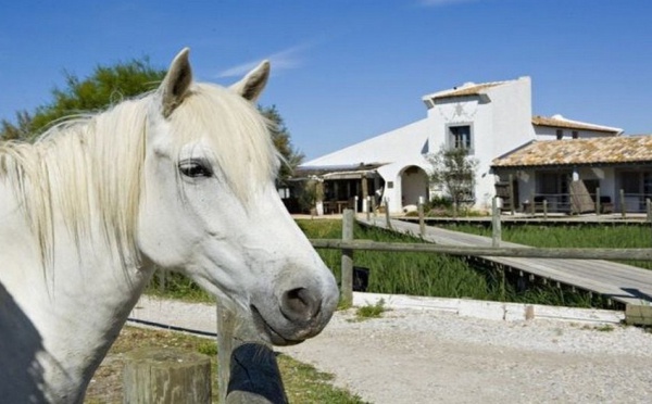 Camargue : Tourisme aux  Saintes Maries de la Mer et  plaisir des sens  aux Arnelles