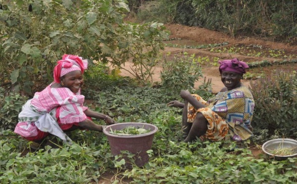 Solidaire : Action contre la Faim renforce ses actions dans tout le Sahel