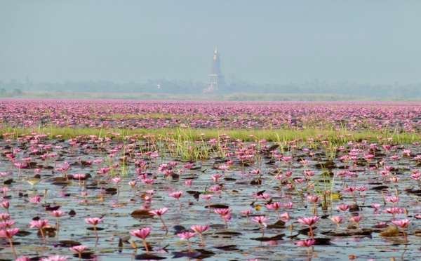 Focus sur... Isan, les merveilles d’une Thaïlande méconnue