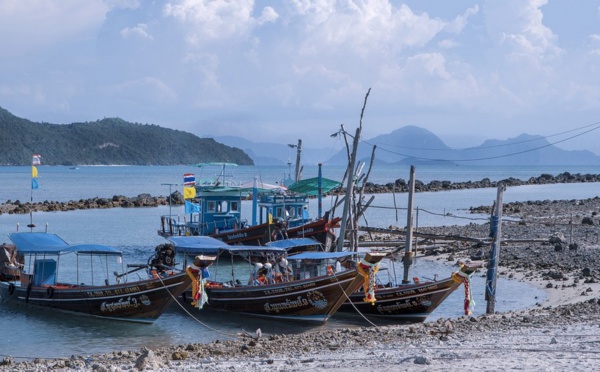 Focus sur.... Koh Phangan et Koh Samui - îles  paradisiaques du bien-être et du bien-manger -