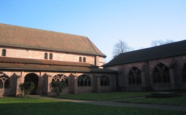 Saint-Dié-des-Vosges :  FIG 2012 -  Parole de géographe.....