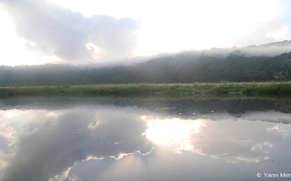 Carnet de voyage en Guyane, deuxième étape : « La réserve naturelle de Kaw-Roura » 