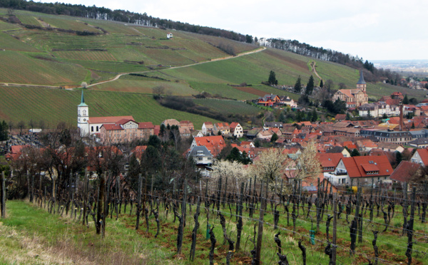 Route des vins d’Alsace : 60 ans et pas une ride !