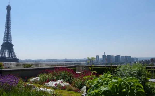 L’Agriculture urbaine  à l’honneur de la 51ème édition du salon