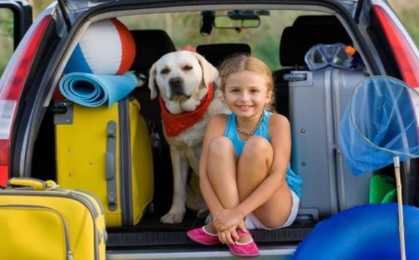 Automobile :   Petit précis pour rouler en toute sécurité et sérénité !