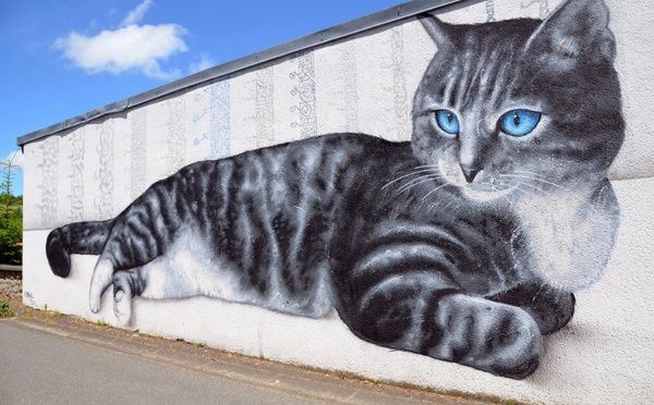 Des chats géants dans le centre-bourg de Gouttières