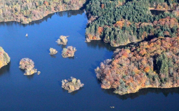 Ecotourisme : Les mille étangs, une petite Finlande au pied des Vosges