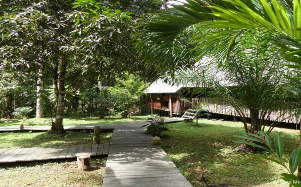  Guyane française : Séjour zen au « Wapa Lodge » sur le fleuve Kourou.