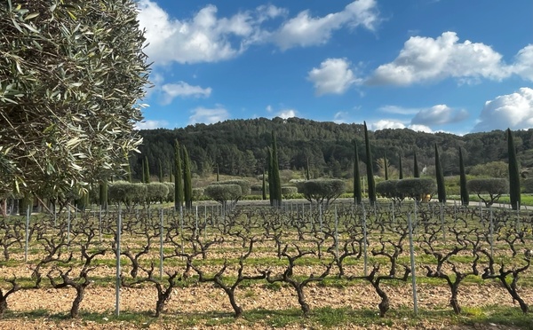 LA PROVENCE PAR EXCELLENCE