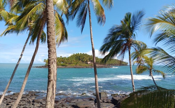 Découvrir la Guyane : nature, sciences et cultures en terre amazonienne