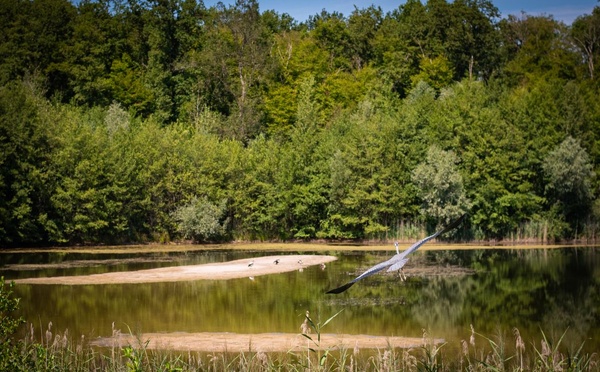 Le Bas-Rhin, terre de pleine nature et de traditions