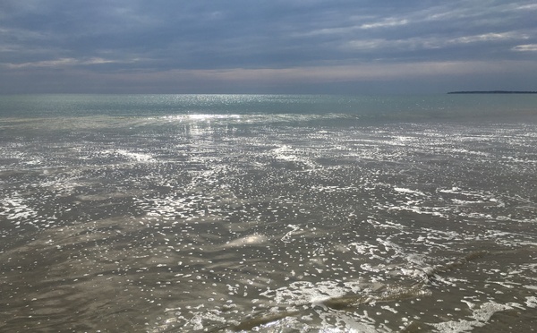 Île de NOIRMOUTIER : douce et lumineuse